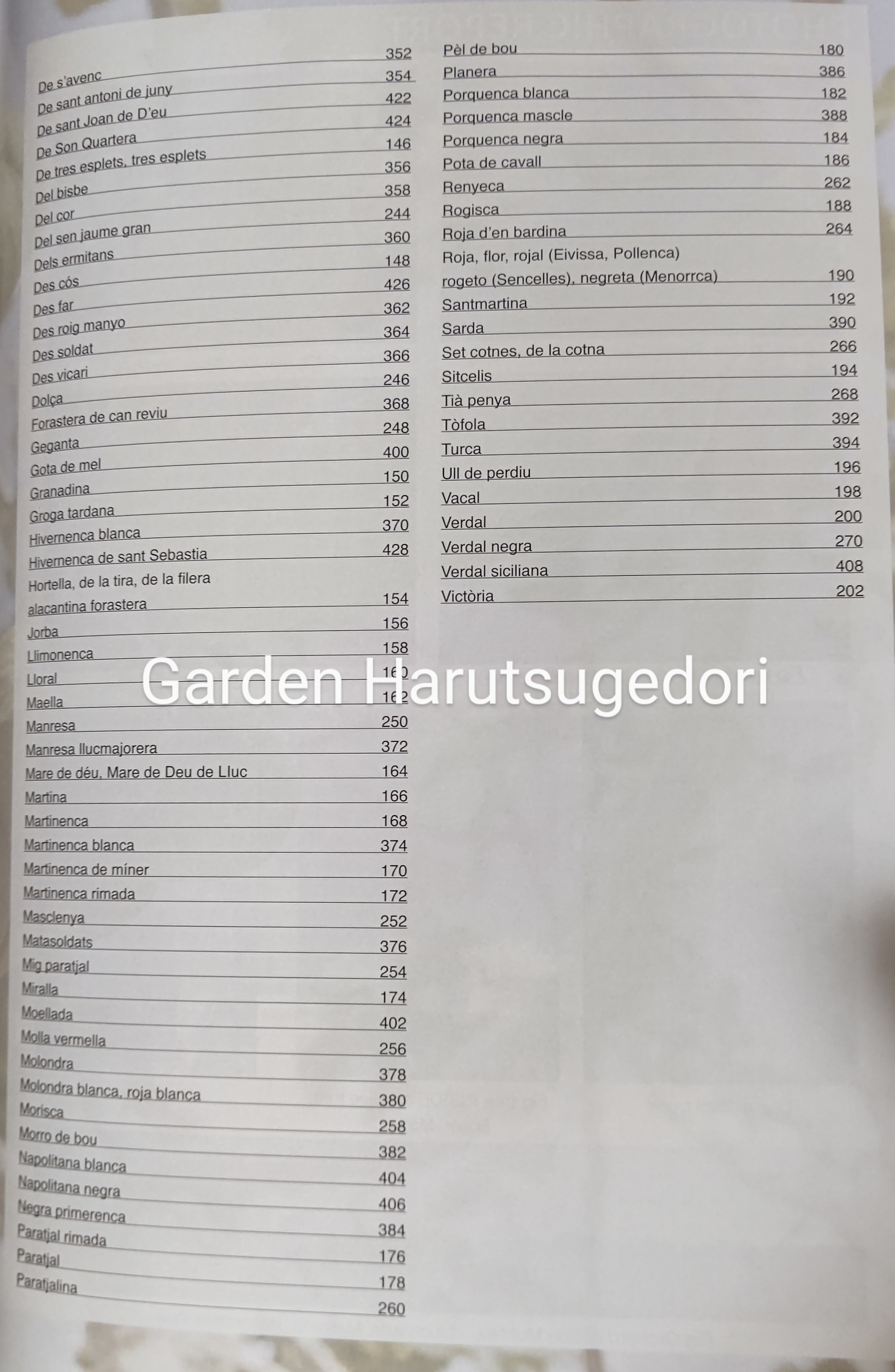 Fig Trees of the Balearic Islands