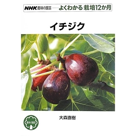 イチジク(NHK趣味の園芸―よくわかる栽培12か月)