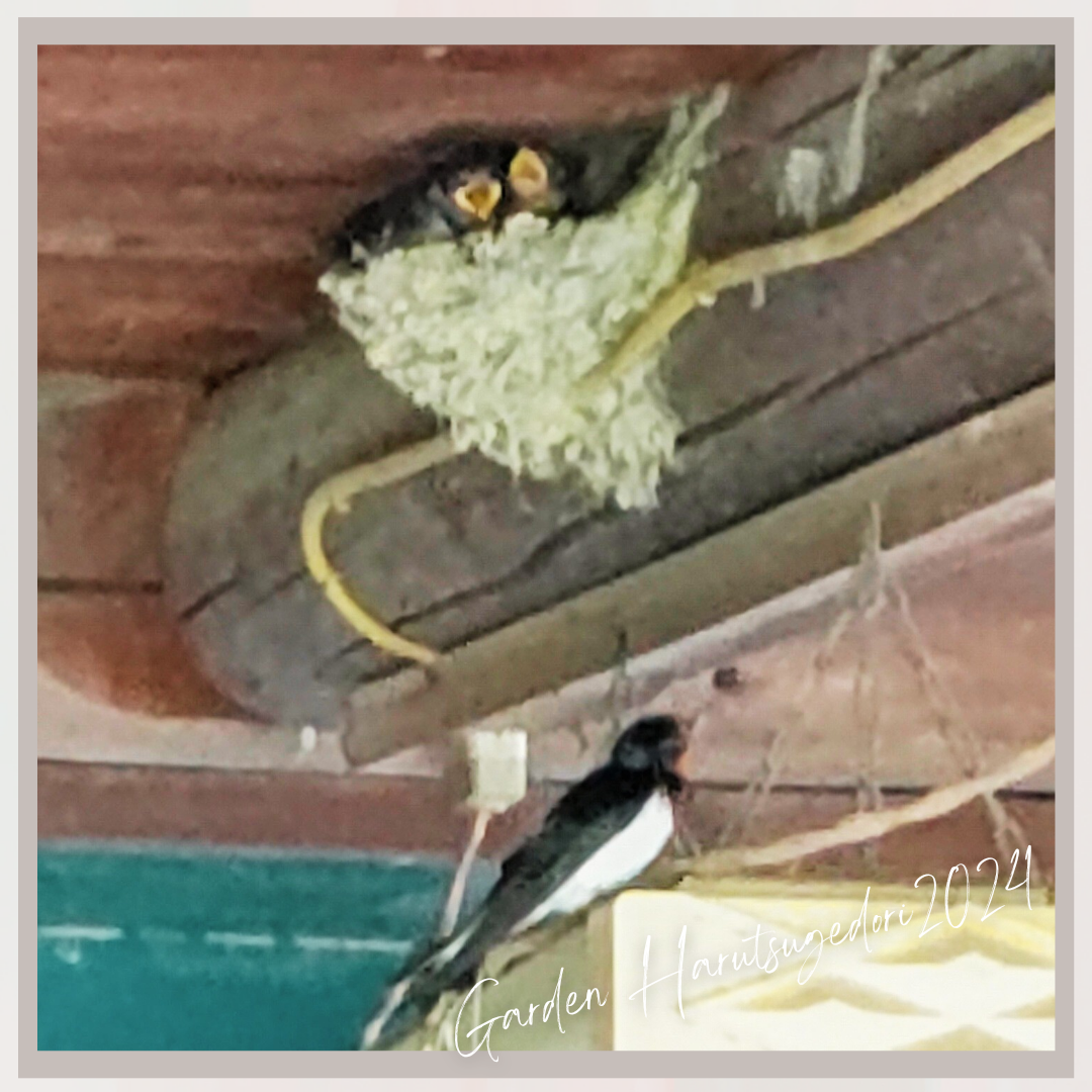 親子でまったり